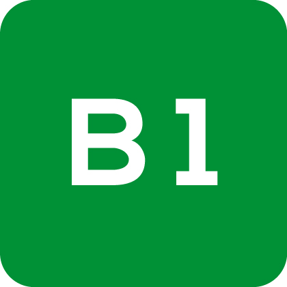 b1